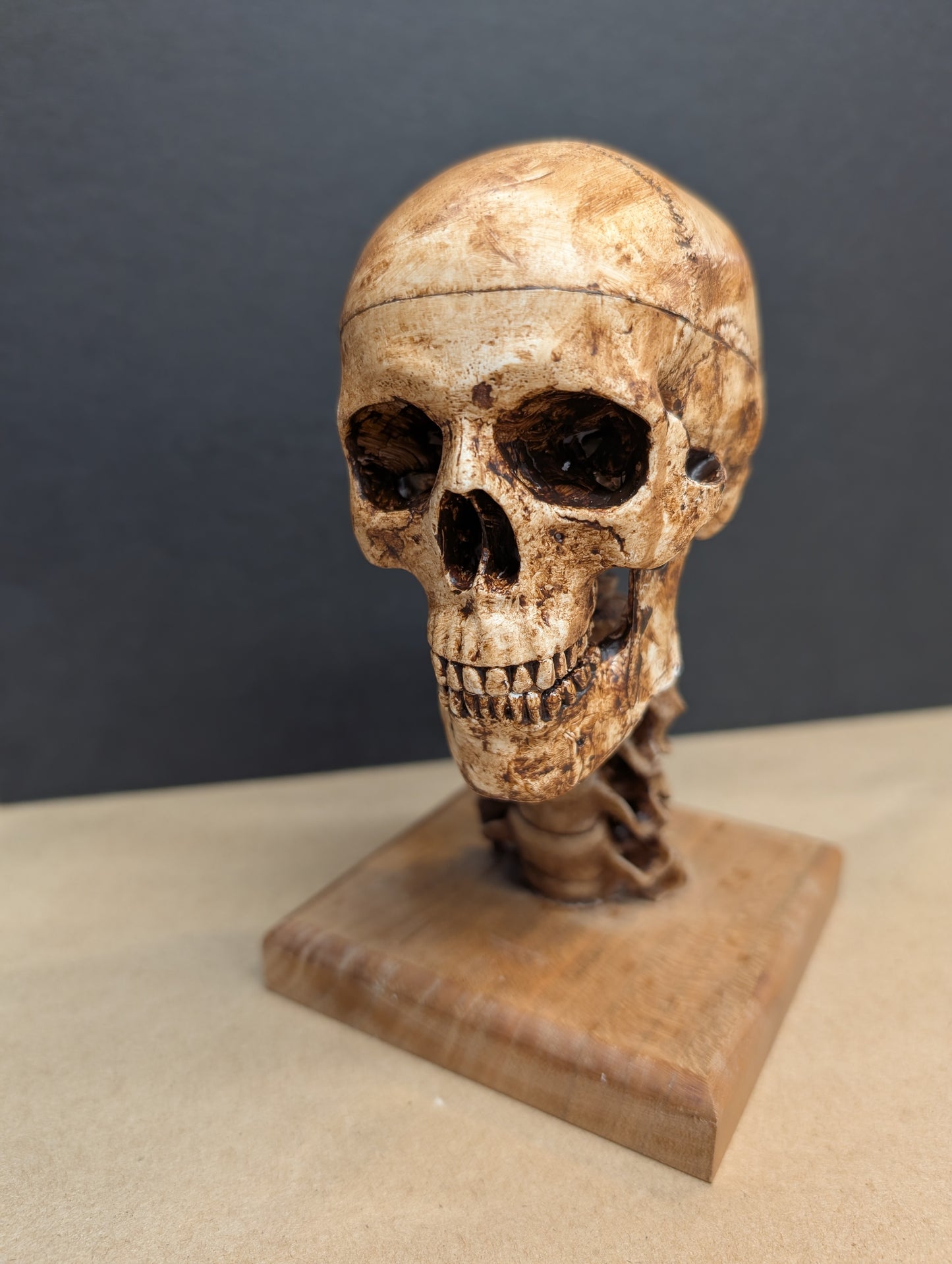 Anatomical Spirit Skull,  Remote-Actuated Jaw