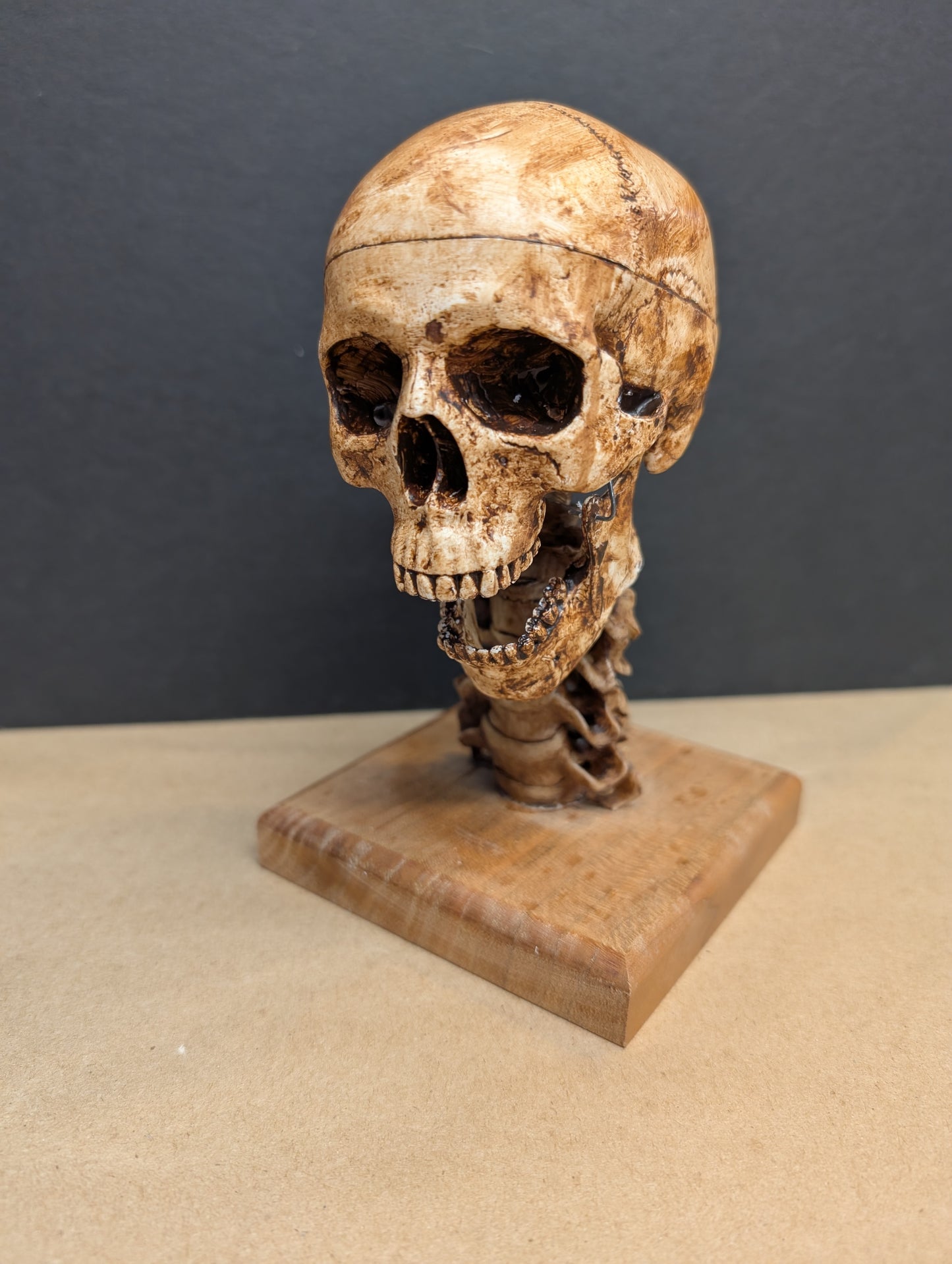 Anatomical Spirit Skull,  Remote-Actuated Jaw